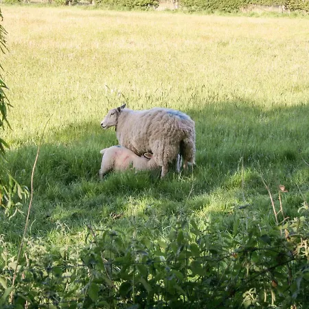 بيت للعطل Gardener's يورك