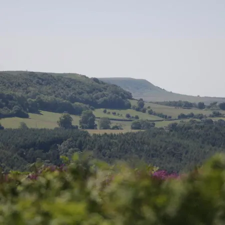 بيت للعطل Gardener's