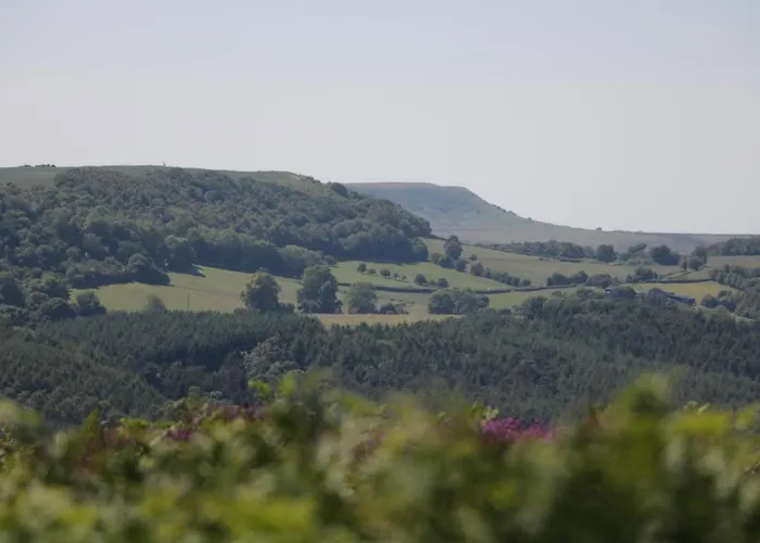 Vakantiehuis Gardener's